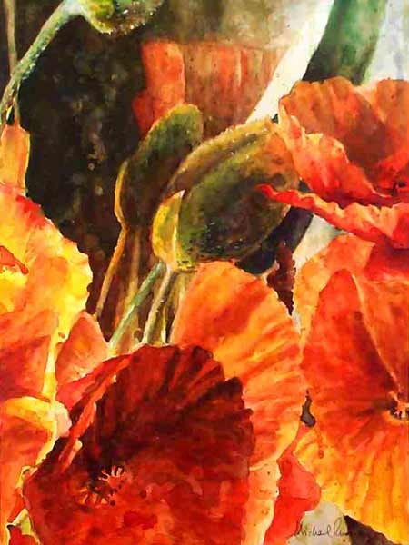Poppies
