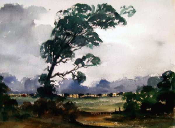 Cows under the tree