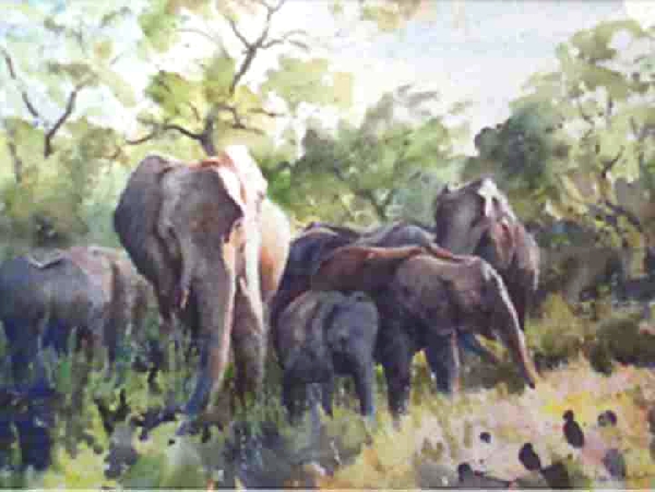Elephants in the Kruger
