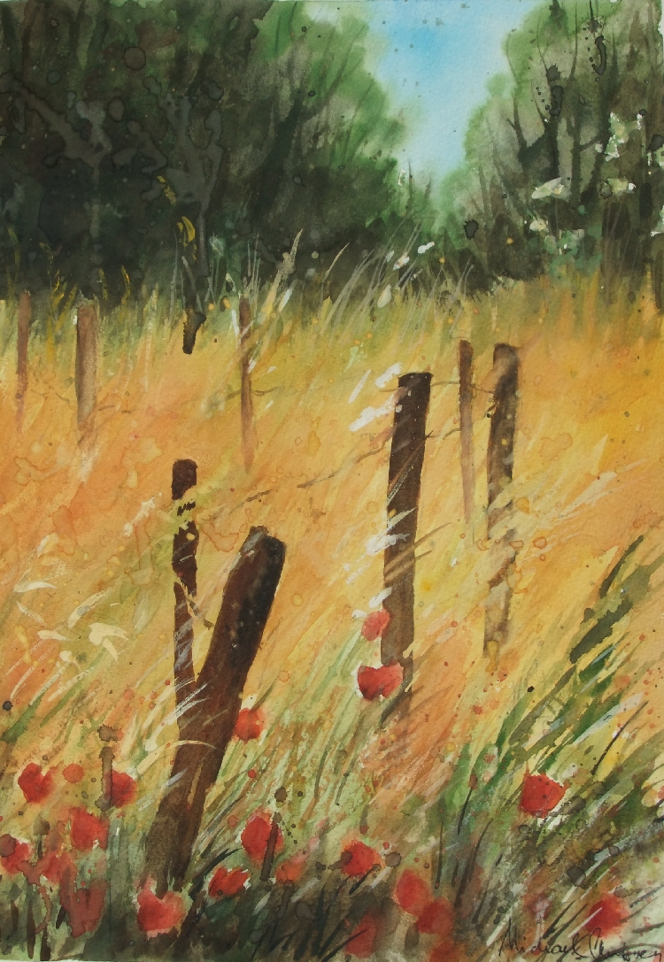 Summer cornfield