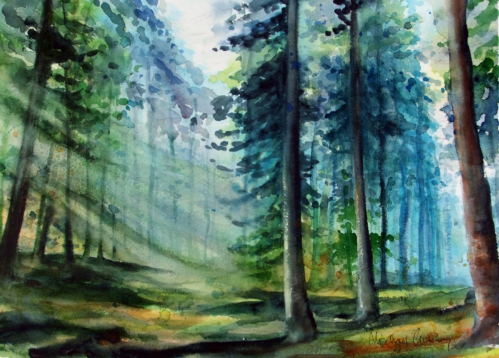 Pinewoods at Holkham