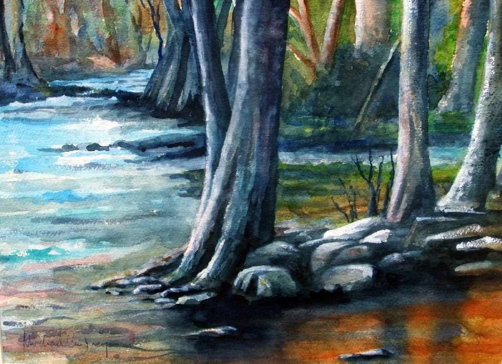 Flooded stream in the forest