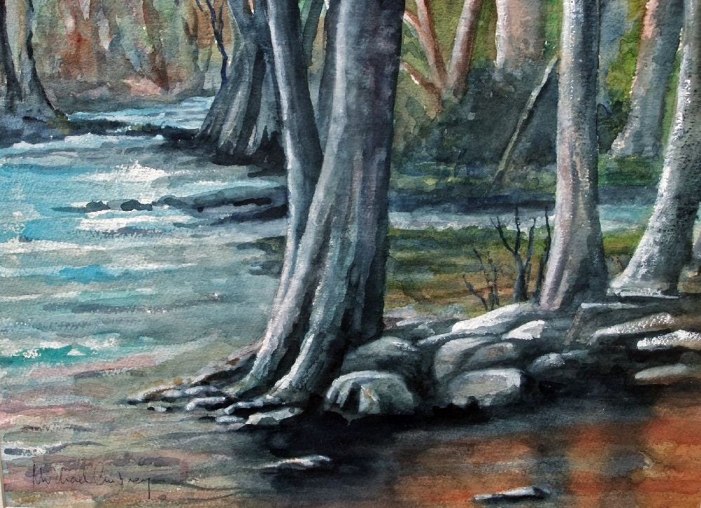 Flooded stream in the forest