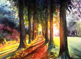 Morning light in Burgundy